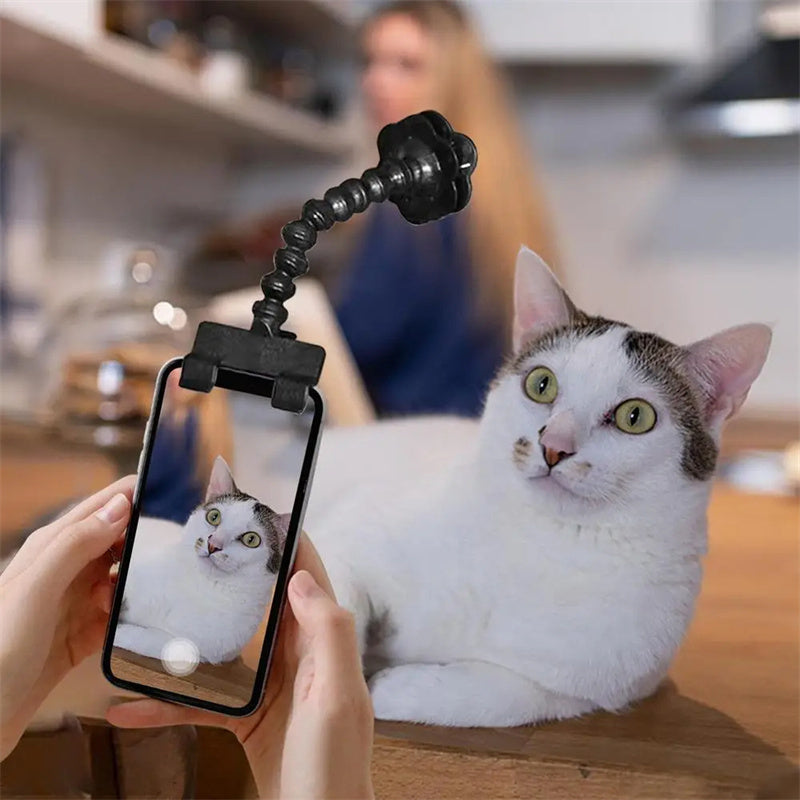 Pet Selfie Clip Lens - Pawfect Haven