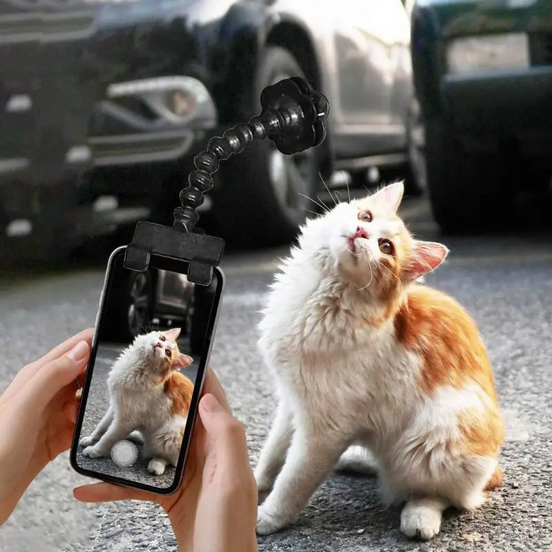 Pet Selfie Clip Lens - Pawfect Haven