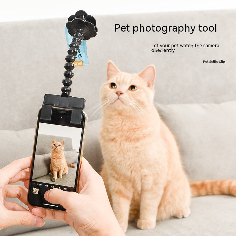 Pet Selfie Clip Lens - Pawfect Haven