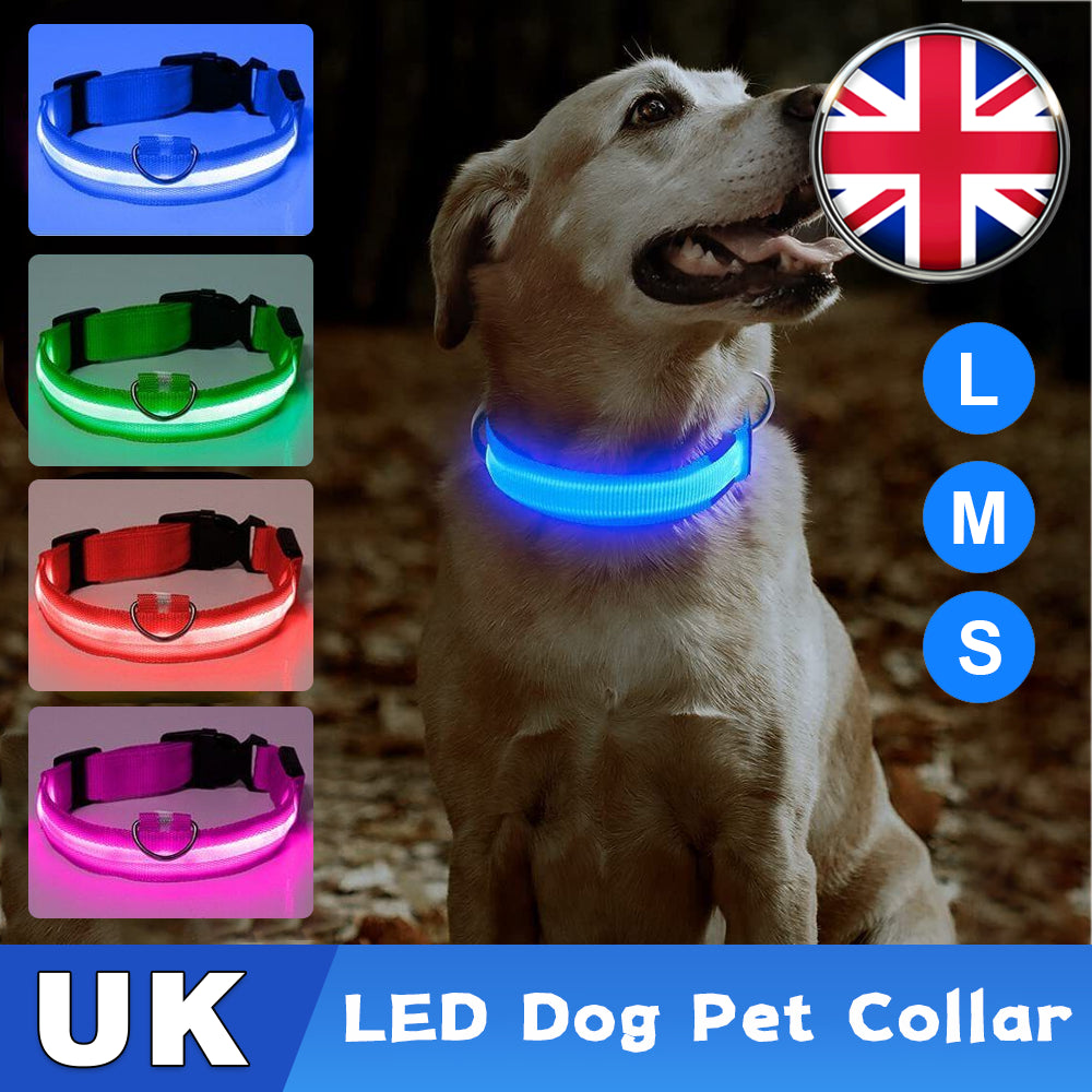 USB Rechargeable LED Pet Dog Collar Flashing Luminous Safety Light up Nylon UK