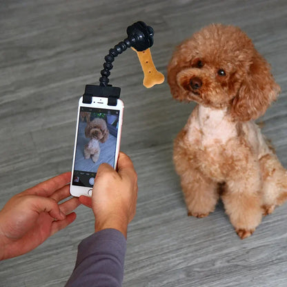 Pet Selfie Clip Lens - Pawfect Haven