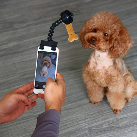 Pet Selfie Clip Lens - Pawfect Haven