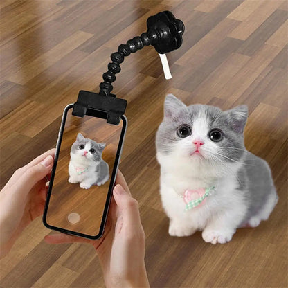 Pet Selfie Clip Lens - Pawfect Haven