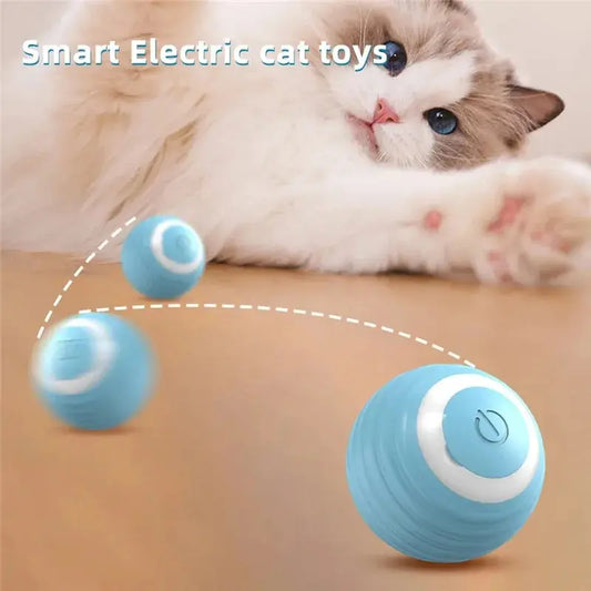 Interactive Chase Ball for Cats - Pawfect Haven