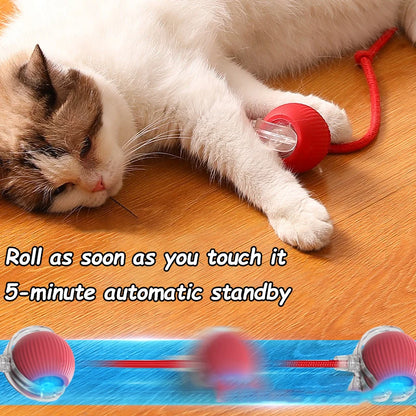 Smart Rolling Cat Toy - Pawfect Haven