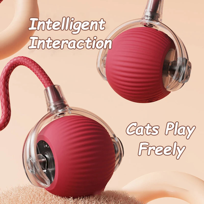 Smart Rolling Cat Toy - Pawfect Haven