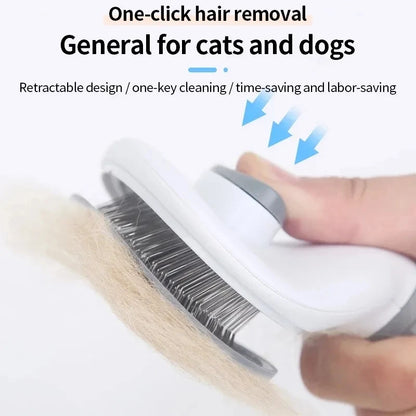 Shed-Free Pet Grooming - Pawfect Haven