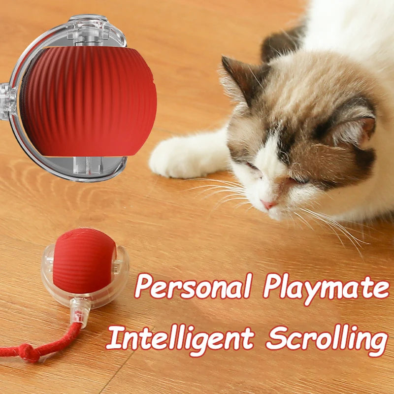 Smart Rolling Cat Toy - Pawfect Haven